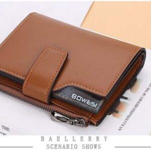 Brown Men Wallet