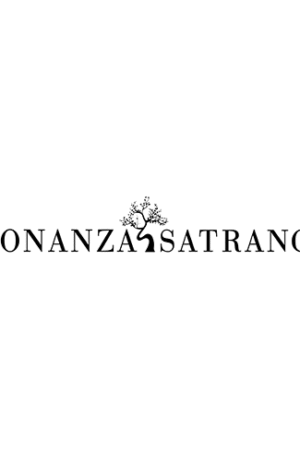 Bonanza Satrangi
